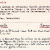 SESA Fichier Boyer Tourouzelle