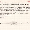 SESA Fichier Boyer Saint-Martin-le-Vieil