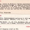 SESA Fichier Boyer Moussan
