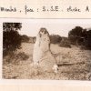 SESA Fichier Boyer Montolieu